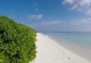 local-island-maldives1