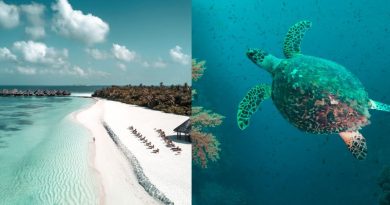 Discover the “Seven Wonders” of Coco Palm Dhuni Kolhu